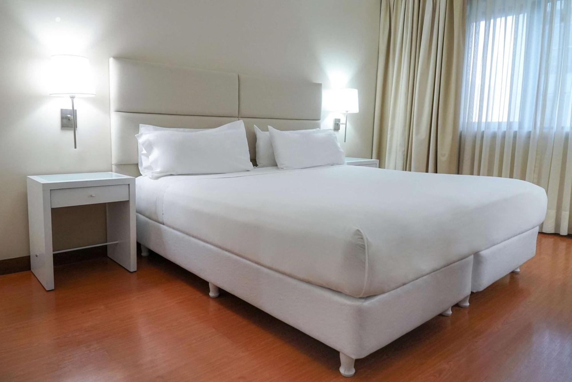 Nh Mendoza Cordillera Hotel Buitenkant foto