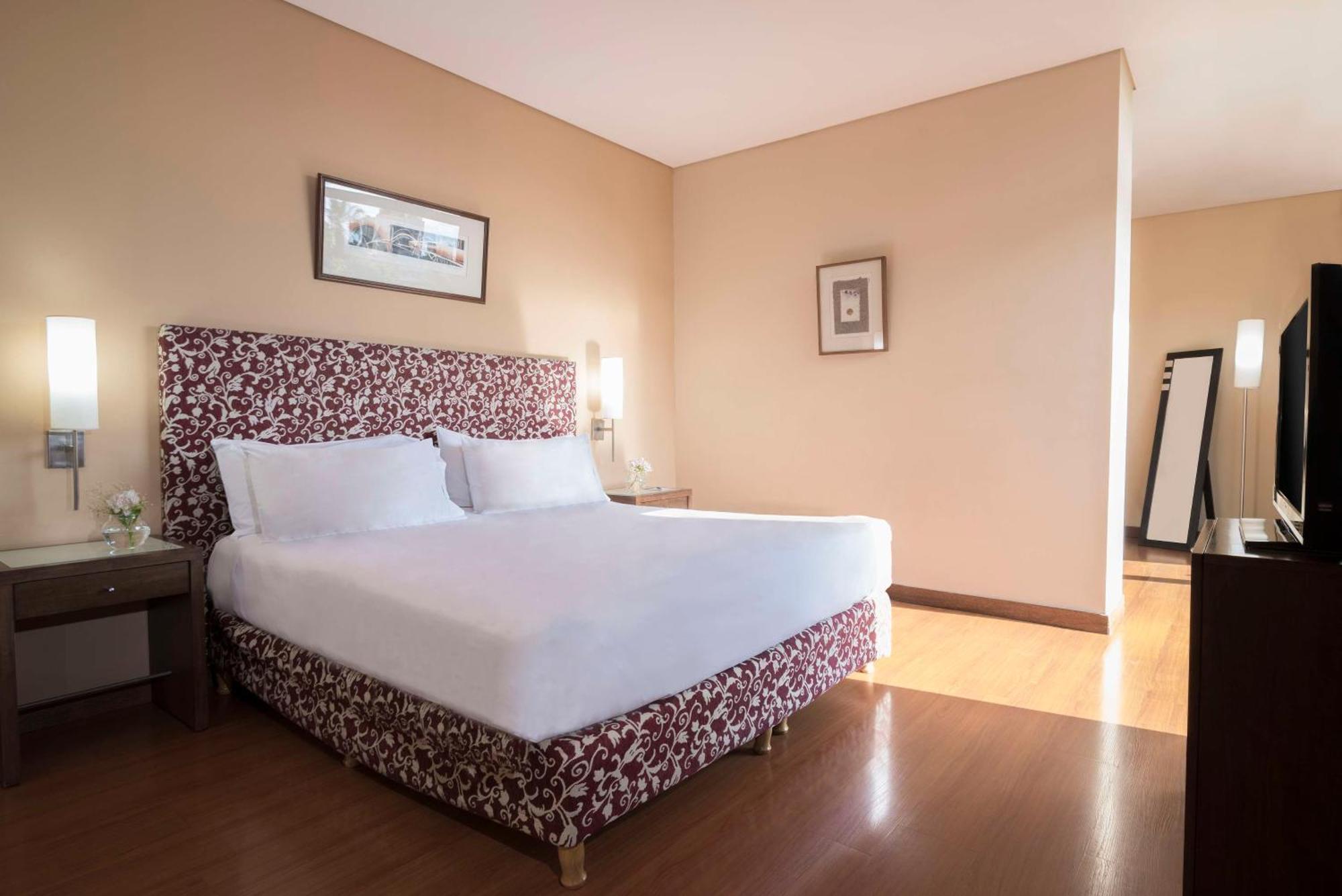 Nh Mendoza Cordillera Hotel Buitenkant foto